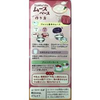 ジーエスフード GS ムースベース・ピーチ（スリムP）500ml 962591 2本