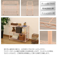 エイ・アイ・エス 19φ スチールラックセット 幅750×奥行350×高さ618mm ピンク NS7535-3PI 1台（直送品）