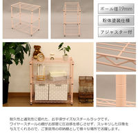 エイ・アイ・エス 19φ スチールラックセット 幅600×奥行350×高さ618mm ピンク NS6035-3PI 1台（直送品）