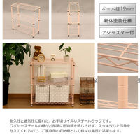 エイ・アイ・エス 19φ スチールラックセット 幅600×奥行250×高さ618mm ピンク NS6025-3PI 1台（直送品）