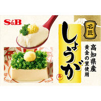 名匠しょうが 31g 1個 国産 無着色 エスビー食品 S＆B