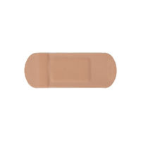 ニチバン ガッチリバン Lサイズ 30mm×77mm GB10L　1箱（10枚入）