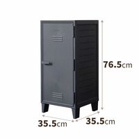 天馬 VAZZO ペグキャビネット 110013842 1個