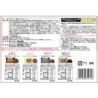 トリュフ&セピアートFS124g 3袋 ブルボン チョコレート