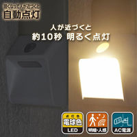 オーム電機 LEDナイトライト 明暗・人感センサー付き 壁面照射タイプ 電球色 06-1764 1個