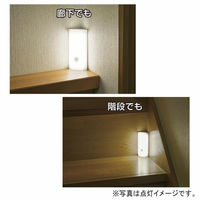 オーム電機 LEDセンサーライト 人感明暗センサー 06-1634 1個