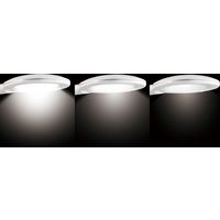 ジェントス 高演色デスクライトホワイト DK-R255WH 1個