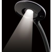 ジェントス 高演色コンパクトデスクライト DK-R256BK 1個