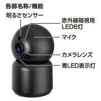 カシムラ スマートホームカメラ 首振 BK KJ-199 1個