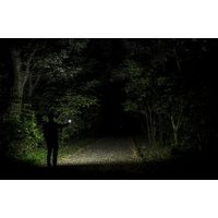 ジェントス OZ電池式作業用ライト高 OZ-334D 1個