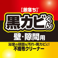 激落ち 黒カビくん カビとります 1個 レック