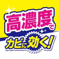 激落ちくん 超強力洗濯槽クリーナー 1個 レック