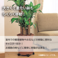 グリーンパル 鉢受け皿 キャスター付き プラスチック ブラウン 350型 1個