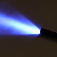 ヒロ・コーポレーション デンタルチェックUVライト HOM-DL01 1個