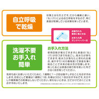 珪藻土バスマット【2】L HBM-001 1枚 ヒロ・コーポレーション（直送品）