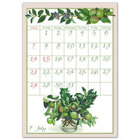 フロンティア 2024年壁掛けカレンダー　橋本不二子　書き込み　L CAL-126 2冊（直送品）