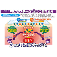 オムニードFBプラスターα 冷感 16枚 3箱セット 帝國製薬  貼り薬 肩こりに伴う肩の痛み 腱鞘炎 関節痛 微香性【第2類医薬品】