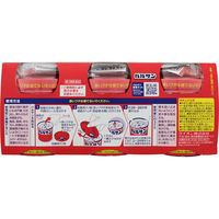 バルサン6～8畳用 3個パック 3セット レック　殺虫剤 火災警報器カバー付き ゴキブリ イエダニ ノミ トコジラミ ハエ成虫【第2類医薬品】