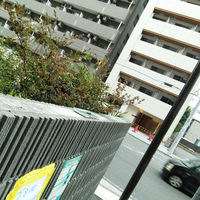 ニッショウ機器 鳥さん避けテク プレート(大) 6300046043 1個（直送品）