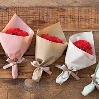 ヘッズ 無地PEロール-5/クラフト MPE-RO5 1巻