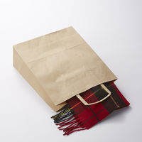 シモジマ H25チャームバッグ 26-4 未晒無地 003267401 1袋(50枚)