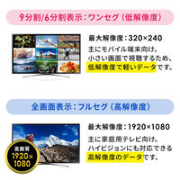 サンワサプライ ダイレクト:9分割ワンセグ・フルセグ視聴プレーヤー 400-1SG006 1本（直送品）