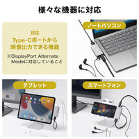 サンワサプライ ダイレクト:USB Type C変換アダプタ( オーディオ端子付) 500-ADC1GM 1個（直送品）