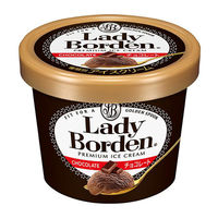 ロッテ [アイス] ロッテ レディーボーデン ミニカップ チョコレート 120ml×36個 45205910（直送品）