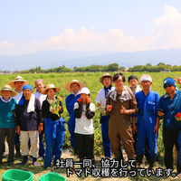 ナガノトマト 信州生まれのおいしいトマト食塩無添加（機能性表示食品） 190g×20個 4902168410270（直送品）