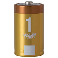 伊藤忠リーテイルリンク(株) アルカリ乾電池レギュラー 単1 2P 日用品 ノンフード×3個 4933691977893 2P×3個（直送品）