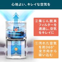 アイリスオーヤマ 空気清浄機 10畳 風量調整 花粉 ほこり AAP-S20B-W 1台