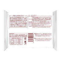 【ワゴンセール】KOUBO アップルパイ 国産小麦・りんご使用 1セット（3個入） パネックス ロングライフパン