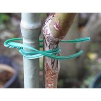 【園芸用品】 エコー金属 園芸用はりがね30m 1549-513 1巻