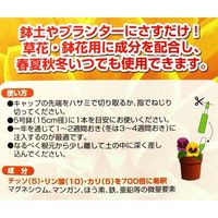 エコー金属 活力剤8P(草花・鉢花用) 1561-707 1セット