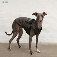 CHOCO マンダリンブラザーズ ナイトスケープLED Tシャツ ブラック XXLサイズ 293672 1枚（直送品）