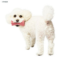 CHOCO マンダリンブラザーズ ラテックスボーントイ ホワイト 293691 1個（直送品）