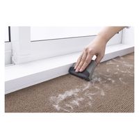 サンコー ペット 毛取り 1個 AA-44 そうじ 掃除 抜け毛  換毛期 カーペット タイルマット  ペットパッケージ（直送品）