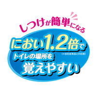 ペットプロ かんたんしつけシーツ レギュラー 120枚入 1箱 ペットプロジャパン