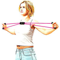 SAKURAI（サクライ） トレーニング器具 筋トレの時間だよスタンダード 54149 1セット(1個入×2)（直送品）