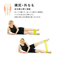 SAKURAI（サクライ） トレーニング器具 下半身ひきしめ 54183 1セット(2本入)（直送品）