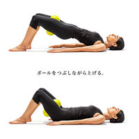 SAKURAI（サクライ） トレーニング器具 骨盤底筋しまり 54174 1セット(1個入×2)（直送品）