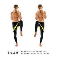 SAKURAI（サクライ） トレーニング器具 ブレない体幹 54184 1セット(2本入)（直送品）