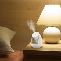 TOPLAND 加湿器 パーソナル 左右自動首振り 吸水スティック5本付 SH-KJ53 WT 1台