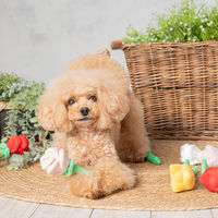 赤いバラ 1個 犬用 おもちゃ アルクロース