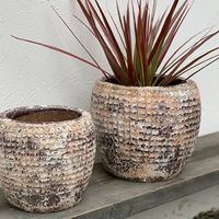 杉田エース SERAXレプタイルポット D12.5 H12 CWW694708 1個（直送品）