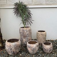 杉田エース SERAXレプタイルポット D15.5 H13.5 CWW694709 1個（直送品）