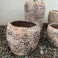 杉田エース SERAXレプタイルポット D19 H30 CWW694712 1個（直送品）