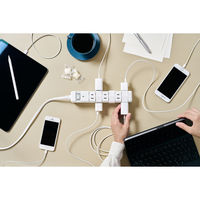 延長コード 電源タップ 両面挿し 2P式 12個口 1.8m ホワイト ファーゴ TAPKING PT60612WH