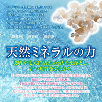 浴槽掃除いらずな入浴剤 ポードペシェ バスパウダー 泡風呂 保湿 1個（25g×2回分）KGP JAPAN
