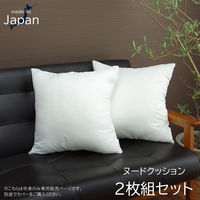 イケヒコ・コーポレーション ヌード セアテ 約45×45cm (2枚組) 9507820 1セット(2枚組)